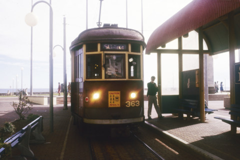 Tramway "City-Glenelg" reliant le centre-ville d'Adélaïde à la banlieue balnéaire de Glenelg, en