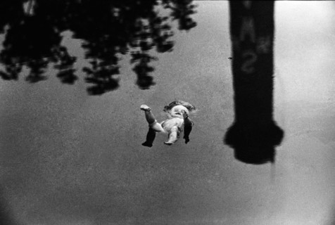 Doll in Dodder