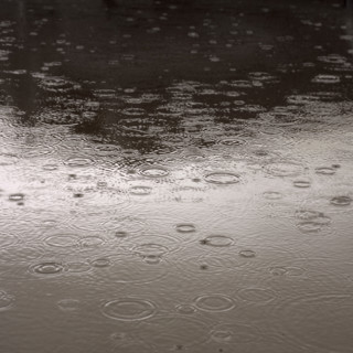 Rain falling on the ground.