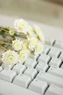 Still life of flowers on a computer keyboard.