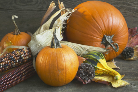 Nature's autumn harvest.
