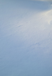 Closeup of fresh snow on ground.