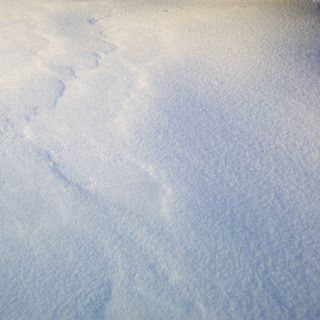 Closeup of snow with texture.