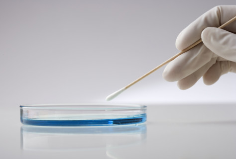 Hand with swab and petri dish.