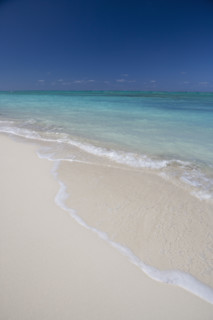 White sand beach.