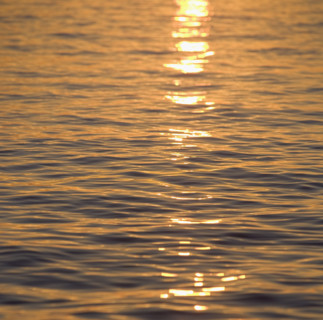 Sunlight reflected on water.