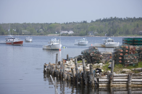 Lobster boats moored along the Maine coast.