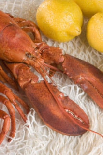 Still life of lobster and lemons.