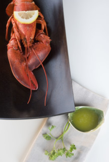 Still life of a lobster.