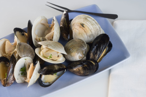Still life of clams.