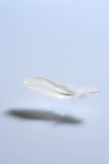 Feather falling.