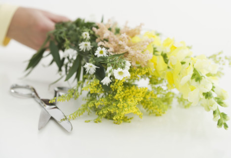 Freshly cut flowers.