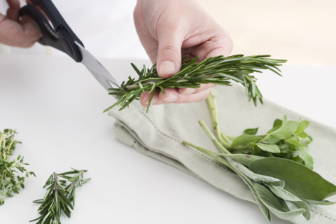 Hands cutting culinary herbs.