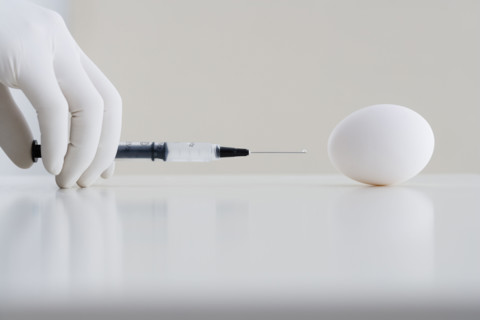 Gloved hand giving injection to egg.