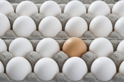 One brown egg among many white eggs.