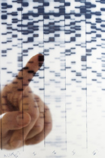 Hand pointing at DNA transparency.