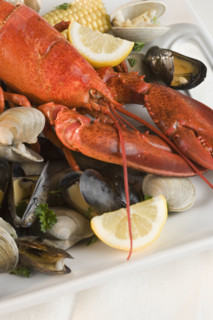 Still life of lobster and clams.