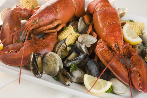 Still life of lobster and clams.