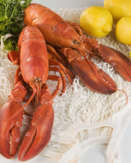 Still life of lobsters and lemons.