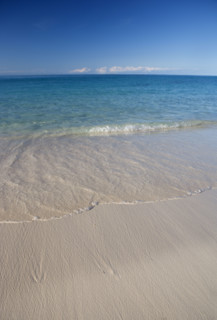 Deserted tropical beach.