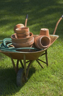Wheelbarrow and gardening tools.