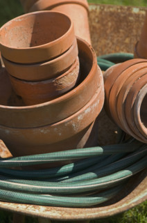 Still life of flowerpots.