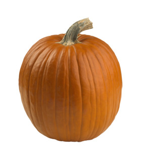 Still life of a pumpkin.