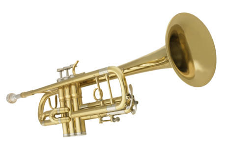 Still life of a horn.