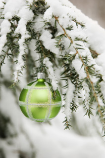 One Christmas ornament hanging in tree.