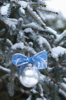 One Christmas ornament hanging in tree.
