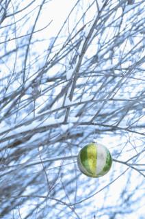 One Christmas ornament hanging in tree.