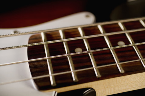 Strings on a bass guitar.