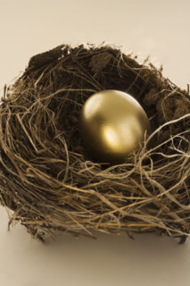 Still life of golden egg in nest.
