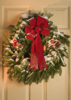 Still life of Christmas wreath on door.