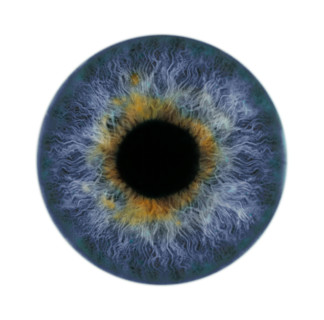 Extreme closeup of a human eye.