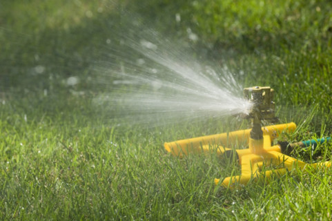 Sprinkler on a green lawn.
