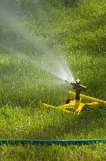 Sprinkler on a green lawn.