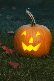 Still life of a jack o lantern.