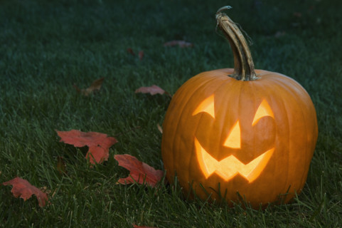 Still life of jack o lantern.