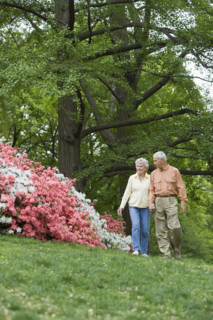 Senior couple walking outdoors.