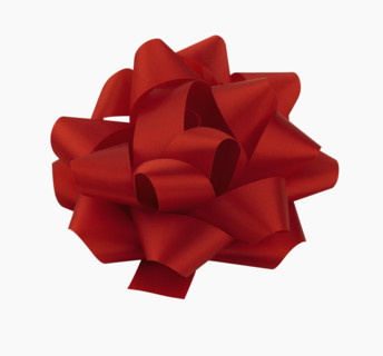 Studio shot of gift bow.