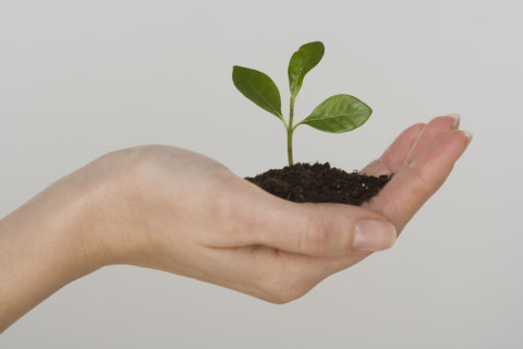 Woman holding seedling.