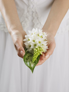 Close up of woman's hands holding flowers.