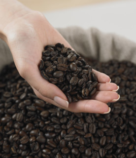 Close up of woman's hand holding coffee beans.