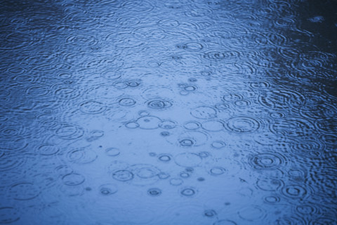Raindrops rippling on water.