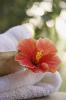 Close up of flower and towel.