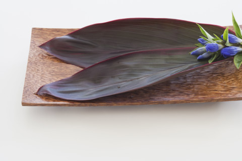 Leaves and flowers on wooden tray.