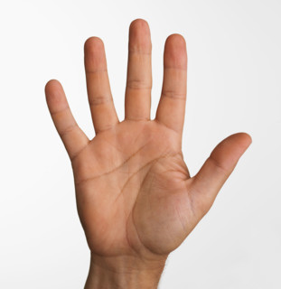 Close up studio shot of palm side of man's hand.