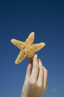 Close up of woman holding starfish.