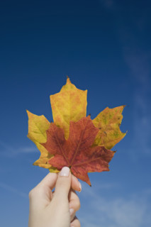 Woman holding up autumn leaves.